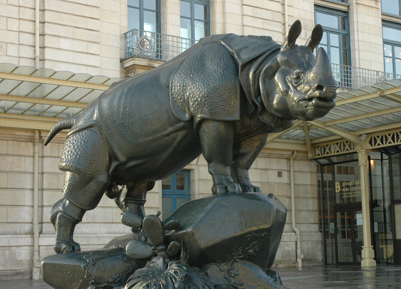 Rhinocéros. Henri Jacquemart.