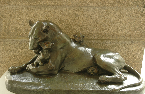 Lionne et lionceaux. Victor Peter.